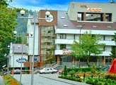 Anda Hotel, Sinaia