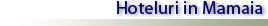 Hoteluri in Mamaia - Oferte